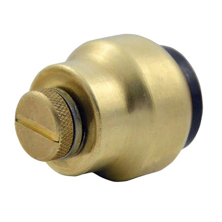 TECTITE BY APOLLO 3/4 in. Brass Push-To-Connect Cap with Drain FSBCAP34WD